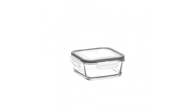 720 CC FOOD CONTAINER WITH LOCKED LID