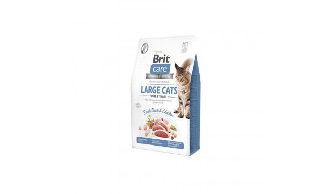 BRIT CARE CAT POWER&VITALITY 400G