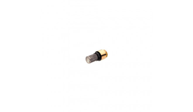 CHECK VALVE 4117025 1 IN WITH FILTER