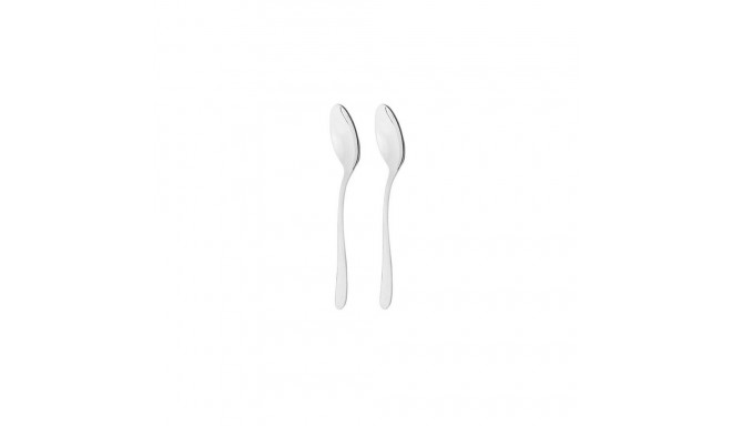 HANGER 2 PCS MOKA SPOON SEGNO