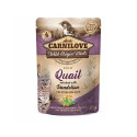 CAN FOR CAT QUAIL DANDELION 85G