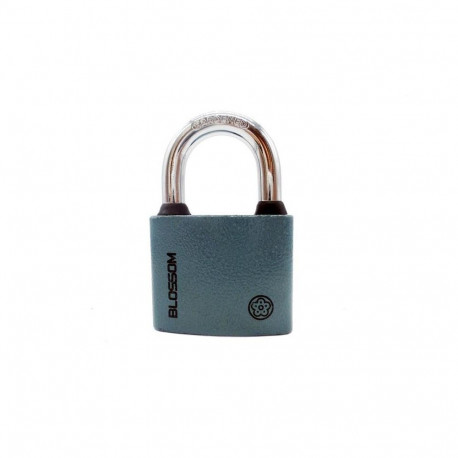 HANGING LOCK BC2950 50MM GREY6/36