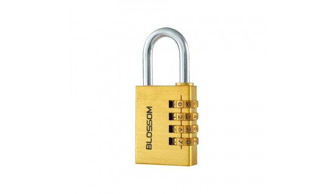 PADLOCK HANG CODE BRASS NL11 40X4(6/72)