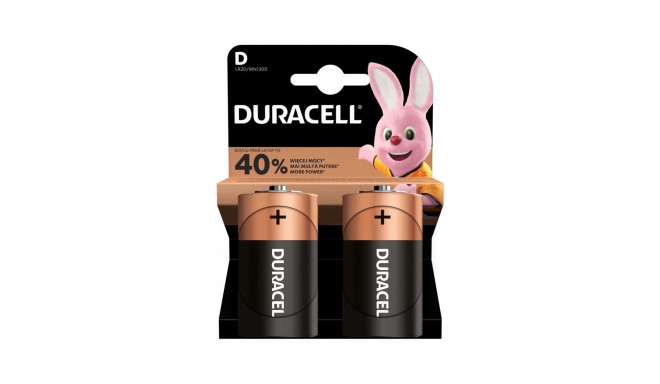 patarei Duracell C&B D MN1300 2 tk