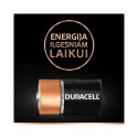 BATTERY DURACELL C&B D MN1300 2TK