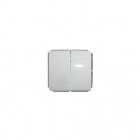 DOUBLE CHANGE-OVER SWITCH WITHOUT FRAME