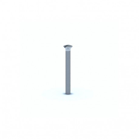 kruvi 6x60mm sifoonpea MN063