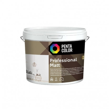 DISPERSION PAINT PROFESSIONAL MAT
