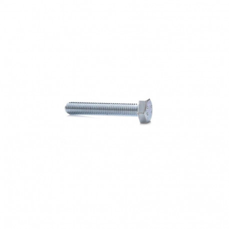 BOLT M6X70 ZN DIN933 10 tk