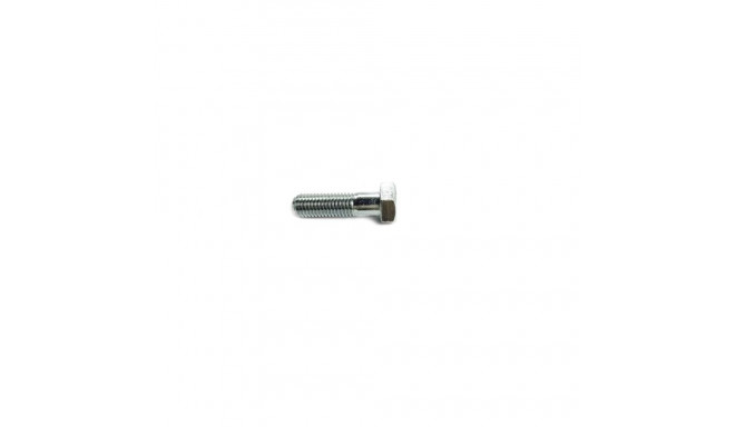 BOLT DIN931 M10X110 ZN 6PCS