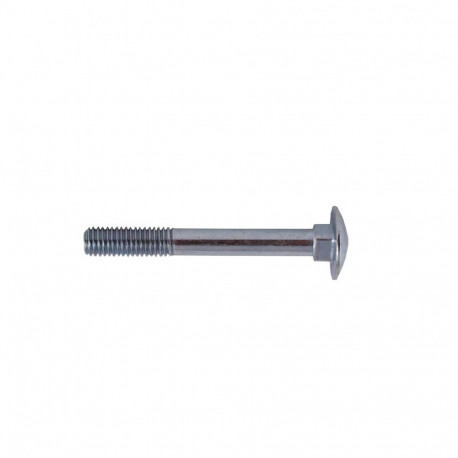 BOLT (DIN603 M6X100 ZN) 8 tk