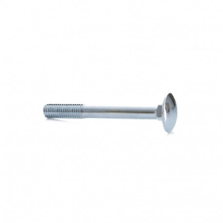 BOLT (DIN603 M8X70 ZN) 10 tk