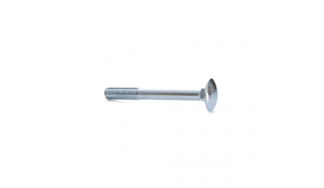BOLT (DIN603 M8X70 ZN) 10PCS