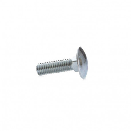 BOLT (DIN603 M8X30 ZN) 15PCS