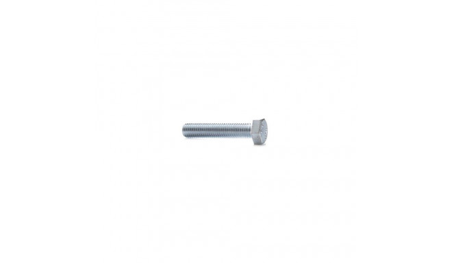 BOLT M8X55 ZN DIN933 12 tk