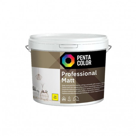 professionaalne matt dispersioonvärv (CL)