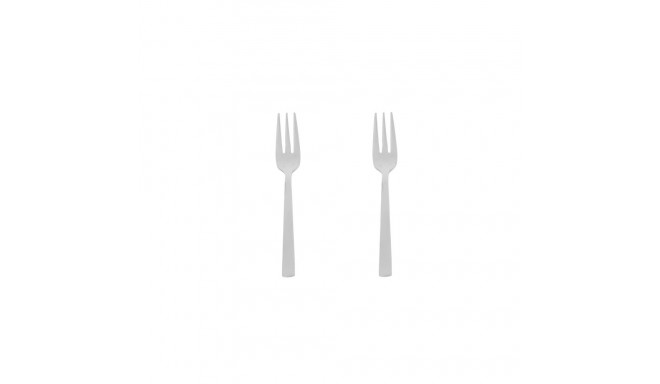 CAKE FORK SET 2PCS