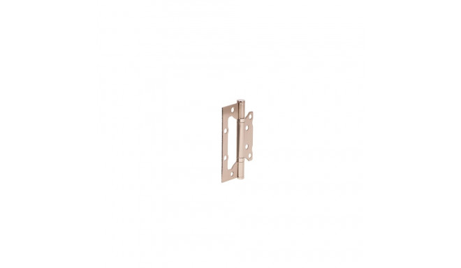 hinge door 100x63x2mm matt nikli
