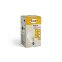 LED BULB A60 9W E27 840LM 4000K MATTE