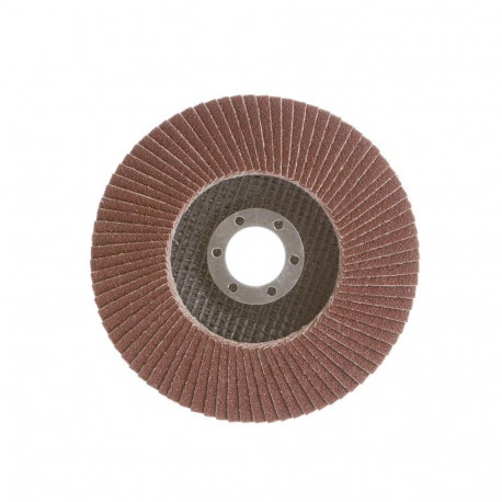 FLAP DISC 116.01 125X22 nr100