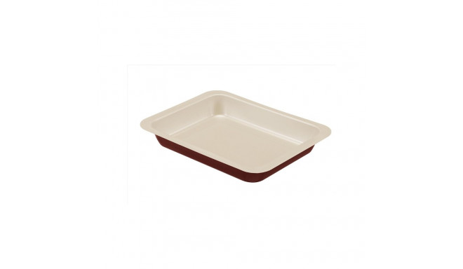 BAKE ROAST PAN CM 22X28