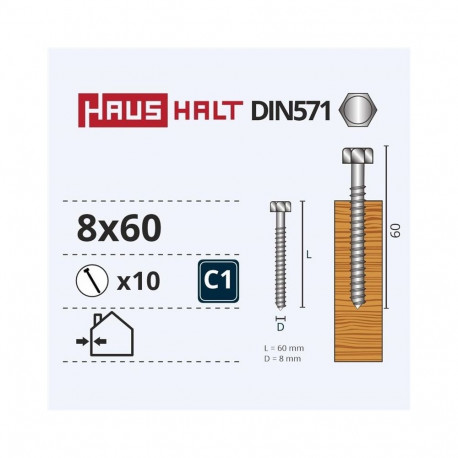 puitkruvi DIN571 8x60 10 tk