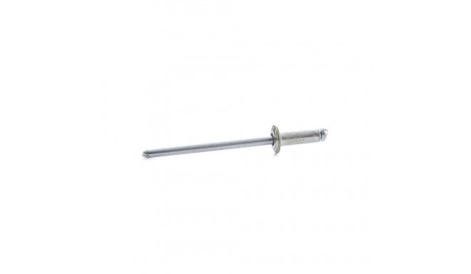 STEEL-STEEL DOMED 3.2X10 50 PCS