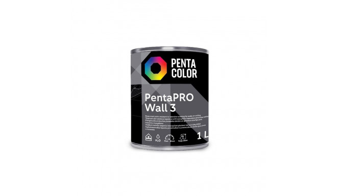 PAINT PENTACOLOR PENTAPRO MATT BALT 1L