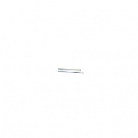 raamipistik kruviga 10x160/110 T66 2 tk