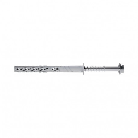 FRAME PLUG WITH SCR 10X120/70 T66 2PCS