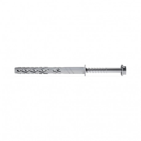 FRAME PLUG WITH SCR 10X100/50 T66 2PCS