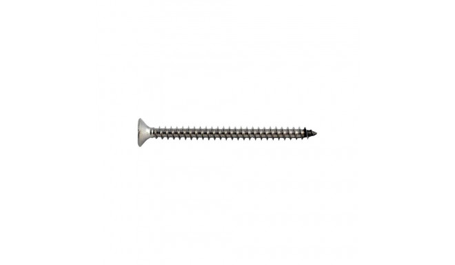 A2 puidukruvi 3x20 Torx