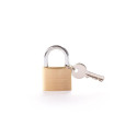 HANGING LOCK HL404A 40 MM