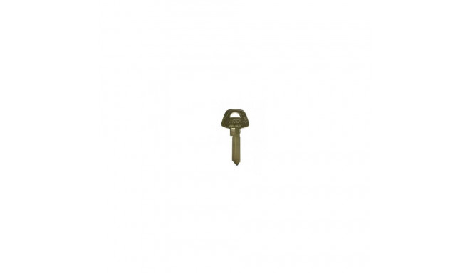 BLANK KEY D12 1 PC