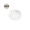 LED PANEL DLED-43 24W 3000K R