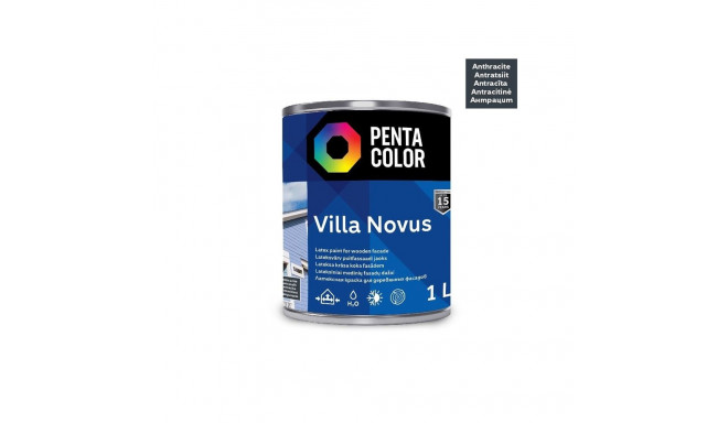 fassaadivärv VILLA NOVUS (antratsiit) 1L