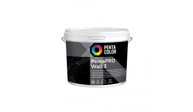 PAINT PENTACOLOR PENTAPRO MATT BALT 10L