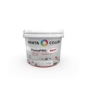 PAINT PENTACOLOR PENTAPRO MATT BALT 5L