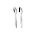 211398 ARDIS - 2PCS TEA SPOON