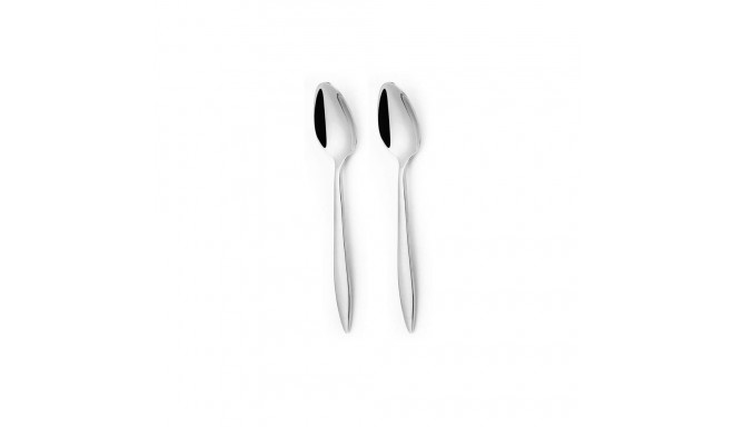 211398 ARDIS - 2PCS TEA SPOON