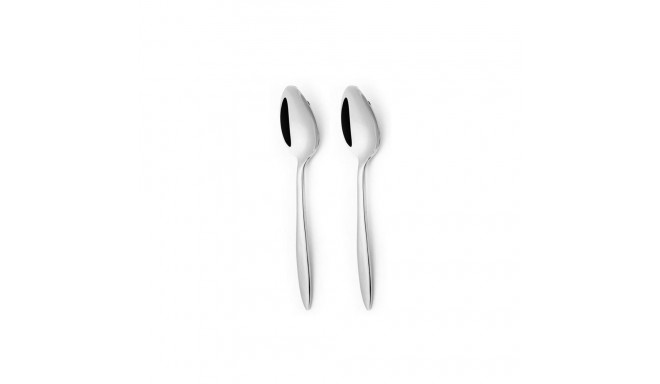 211397 ARDIS - 2PCS TABLE SPOON