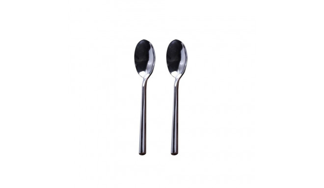 201398 LISA - 2PCS TEA SPOON