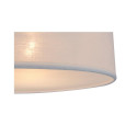 LAMP (CL 12029-D40)