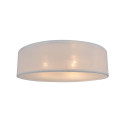 LAMP (CL 12029-D40)