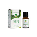 EUCALYPTUS ESSENTIAL OIL