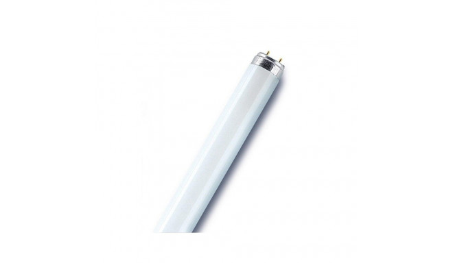 fluorestsentslamp LUMILUX T8 L 830 36W