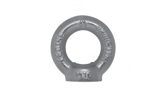 DIN582 M8 tsingitud silmpolt (25 tk)