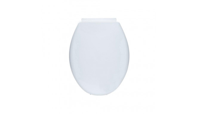 TOILET COVER WITH SLOW FLUSH MECHANISM