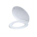 TOILET COVER WITH SLOW FLUSH MECHANISM