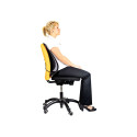 Seljatugi Fellowes Office Suites™ Mesh Back Support